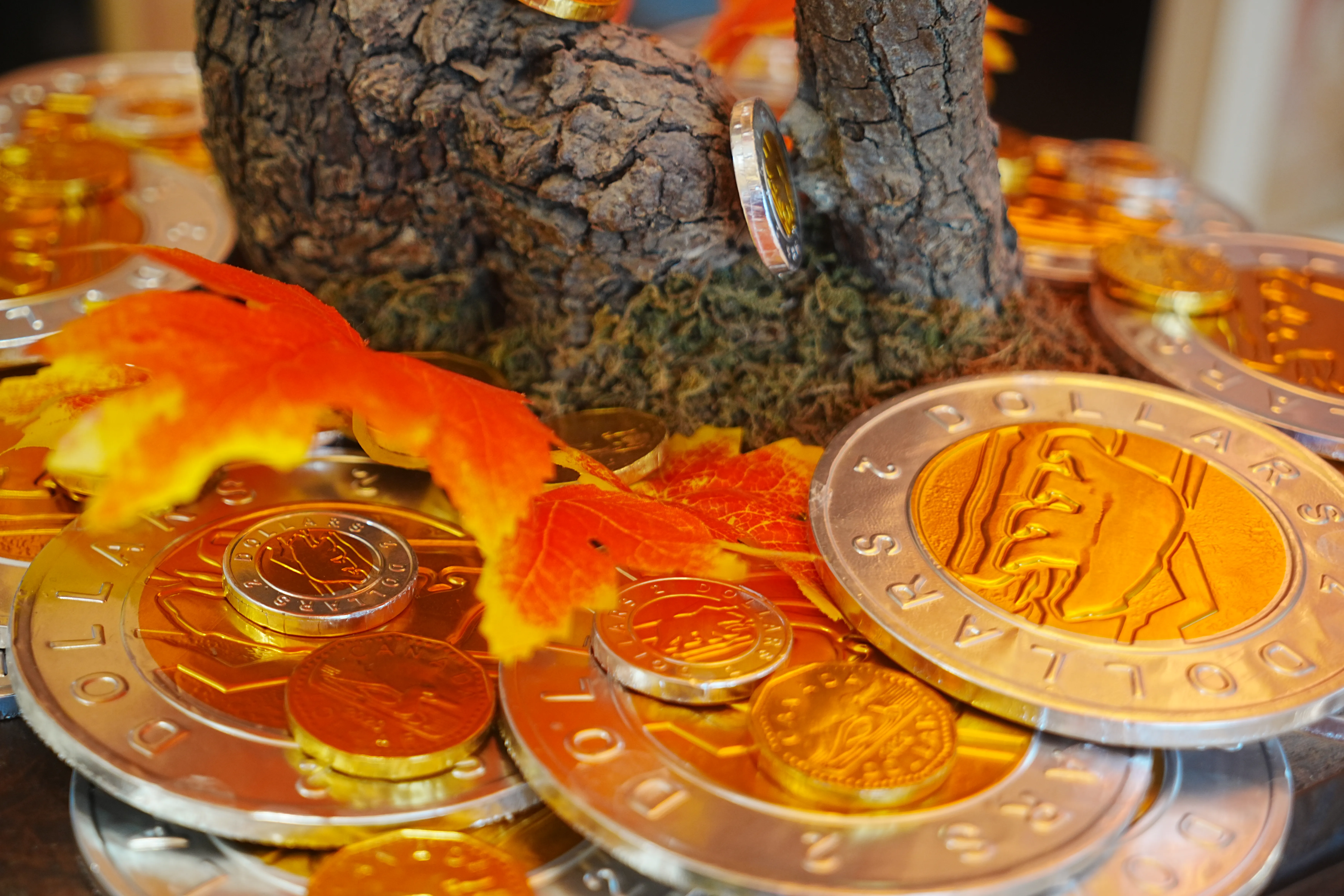 United in Compassion