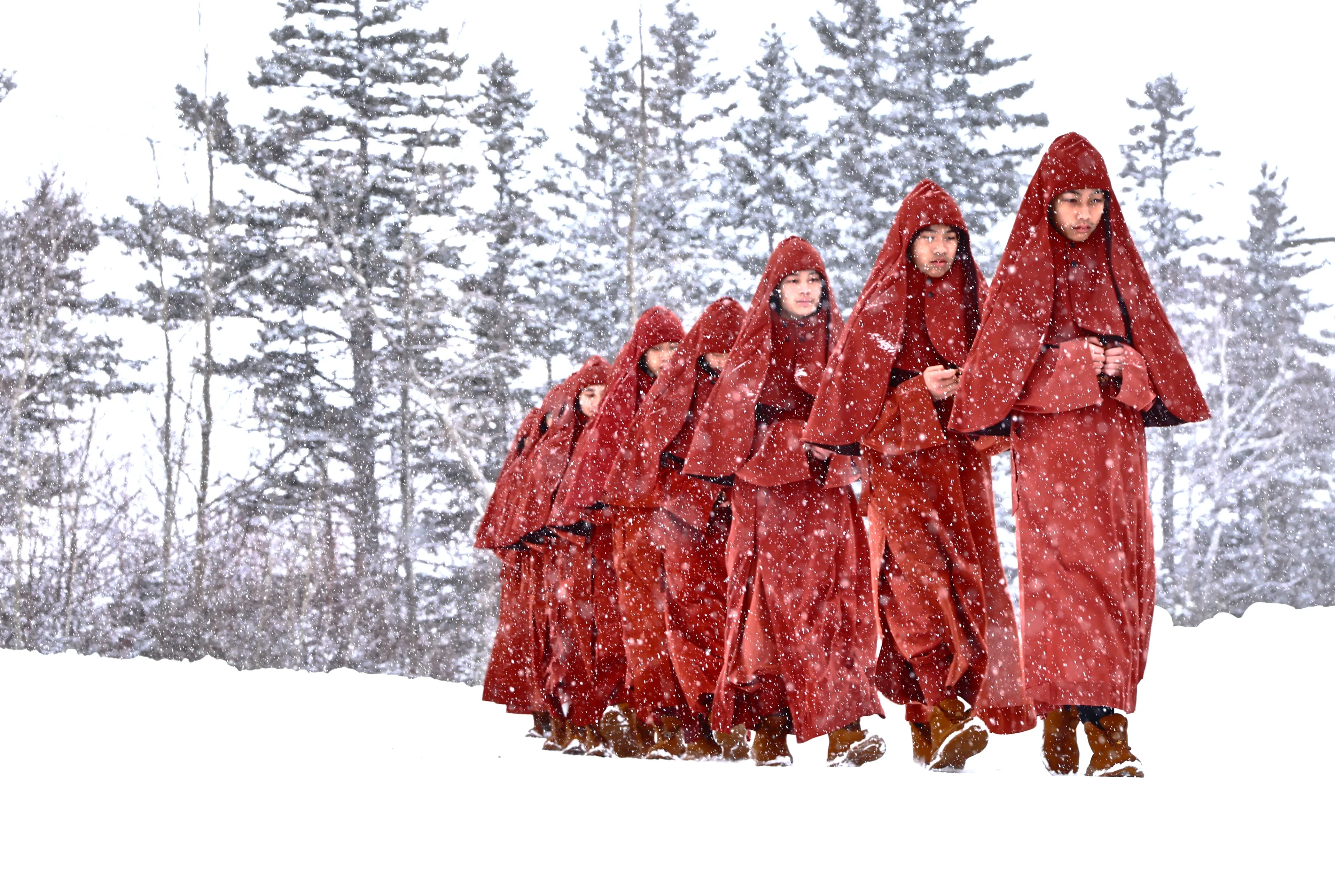 United in Compassion